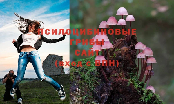 мефедрон Зеленодольск