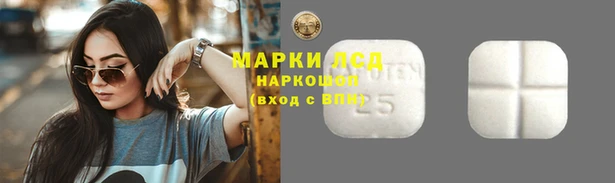 ALPHA PVP Зерноград