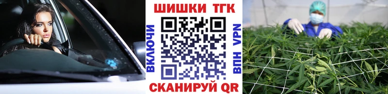 Каннабис сатива Щигры